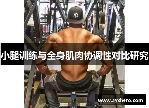 小腿训练与全身肌肉协调性对比研究