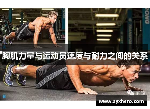 胸肌力量与运动员速度与耐力之间的关系