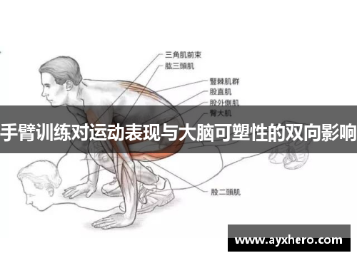手臂训练对运动表现与大脑可塑性的双向影响