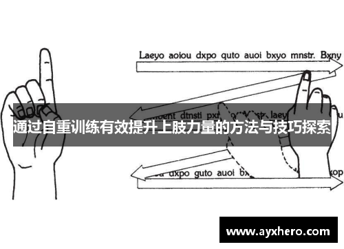 通过自重训练有效提升上肢力量的方法与技巧探索